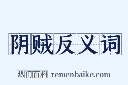 阴贼反义词是什么意思的图片